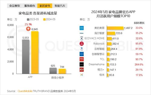 QuestMobile 2024年品牌數(shù)字化發(fā)展洞察報告 大循環(huán)體系成型與信息系統(tǒng)集成服務(wù)
